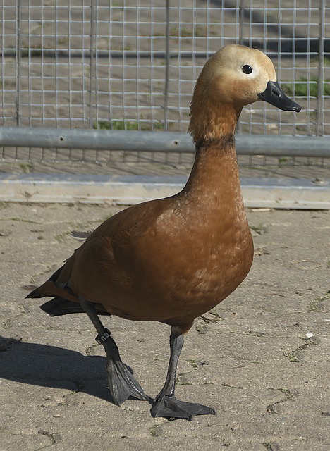 际赛场