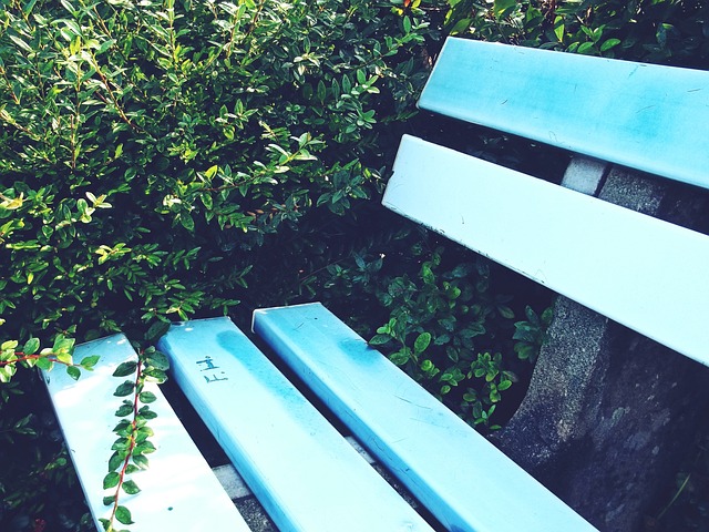 业生涯中会 业生涯中会